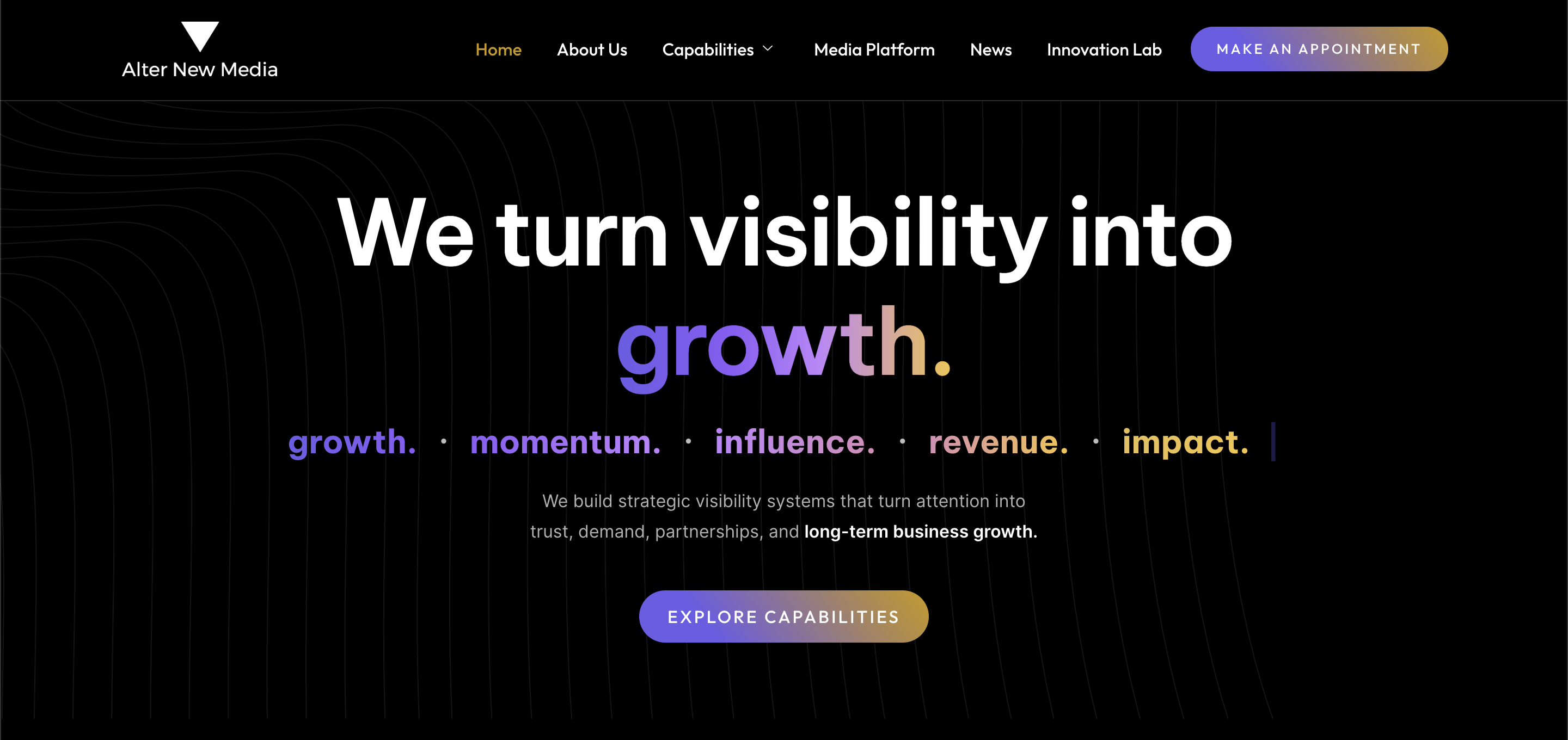 Alter New Media marketing and media agency website